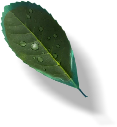 list 02