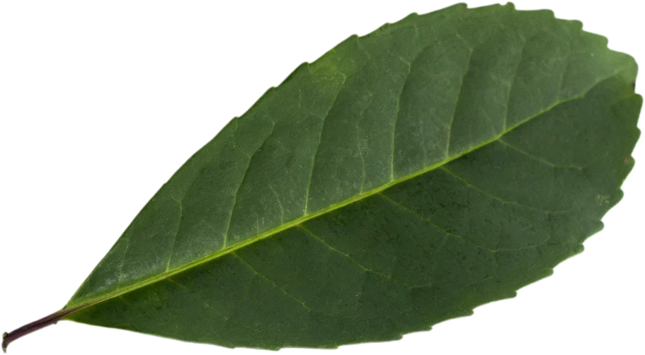 list vitaminy 01
