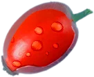 sipka 01